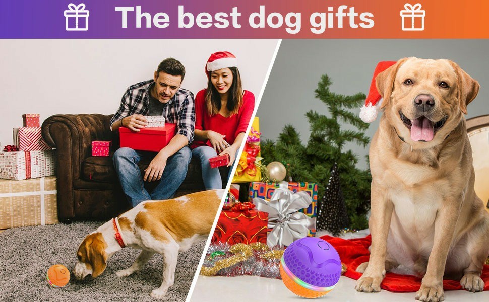Interactive Automatic Rolling Dog Toy Ball – Smart Motion Play