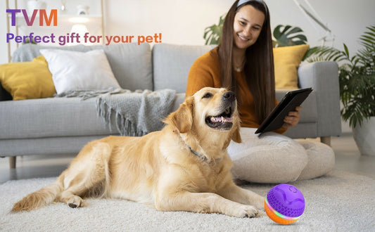 Interactive Automatic Rolling Dog Toy Ball – Smart Motion Play