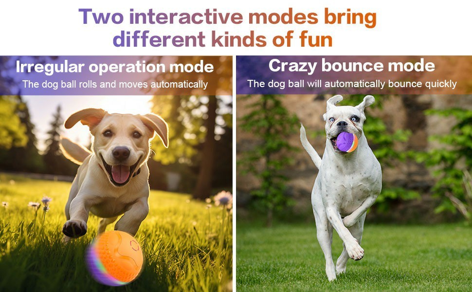 Interactive Automatic Rolling Dog Toy Ball – Smart Motion Play