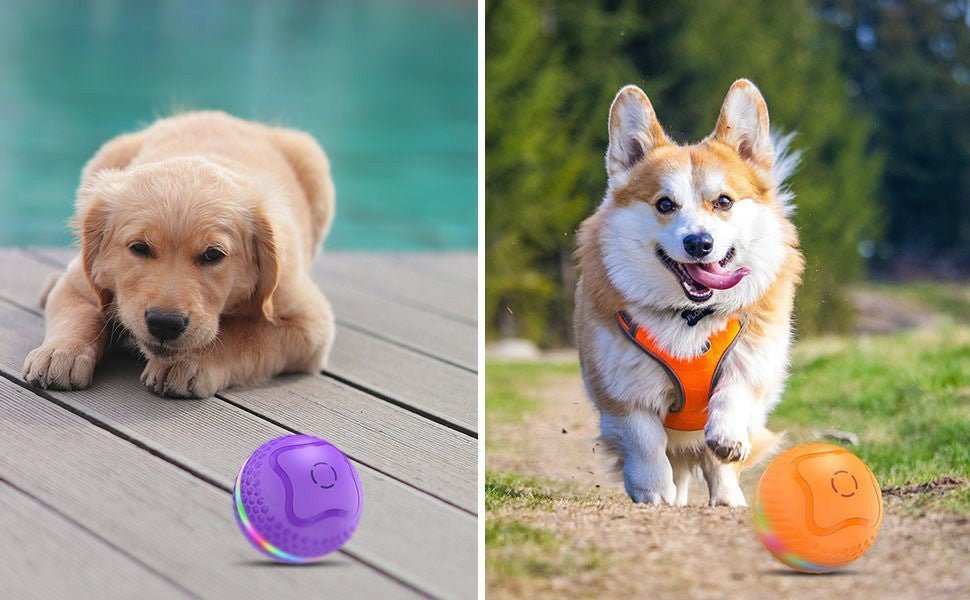 Interactive Automatic Rolling Dog Toy Ball – Smart Motion Play