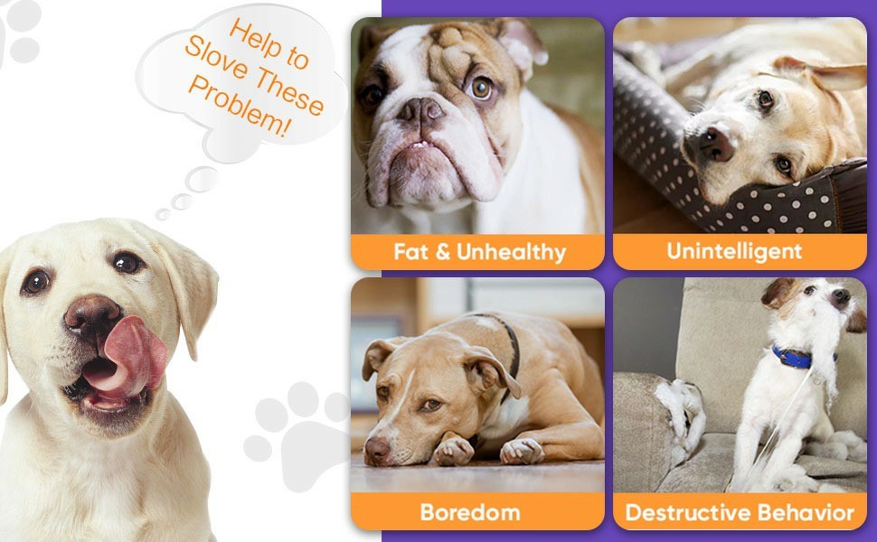 Interactive Automatic Rolling Dog Toy Ball – Smart Motion Play